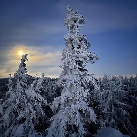 Дом отдыха Monte Luna -